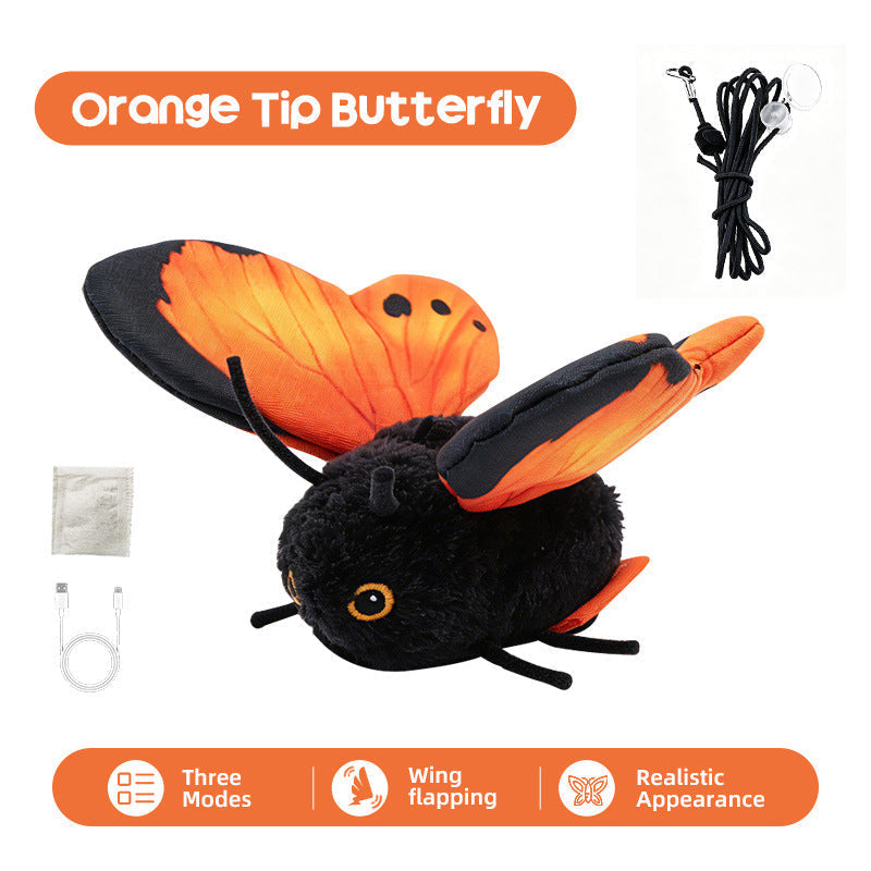 1 Butterfly